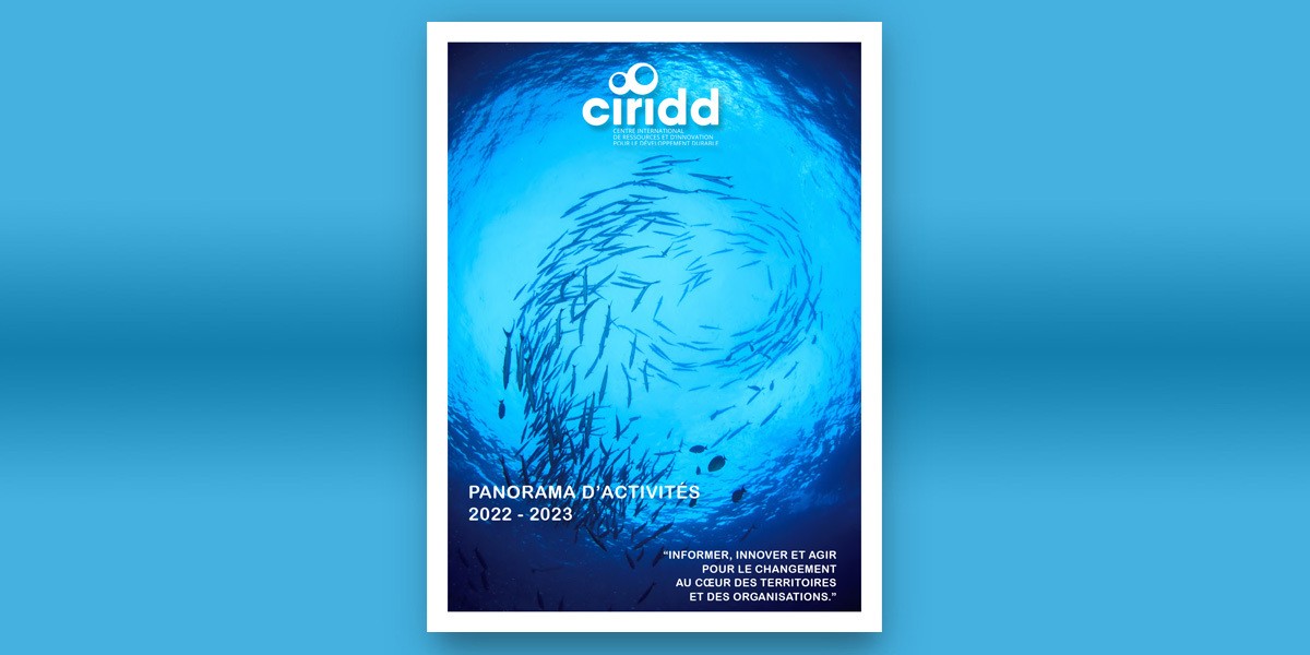 Lecture : Panorama des activités du CIRIDD 2022 - 2023